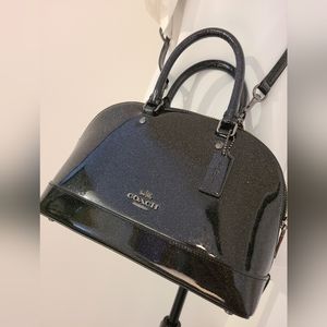 Coach NASA purse